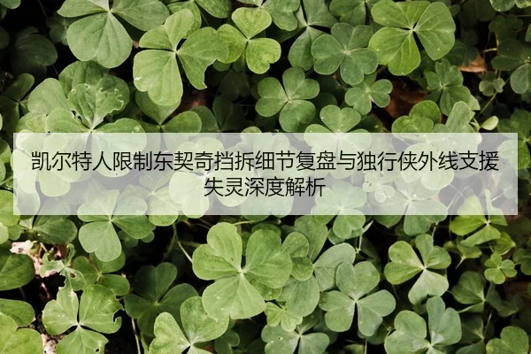 kai-er-te-ren-xian-zhi-dong-qi-qi-dang-chai-xi-jie-fu-pan-yu-du-xing-xia-wai-xian-zhi-yuan-shi-ling-shen-du-jie-xi-2-313.jpg