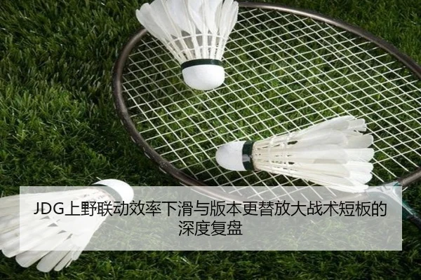 img_1781224513469_430_1_777.jpg